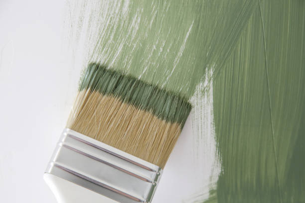 Best Residential Painting  in Fremont, MI